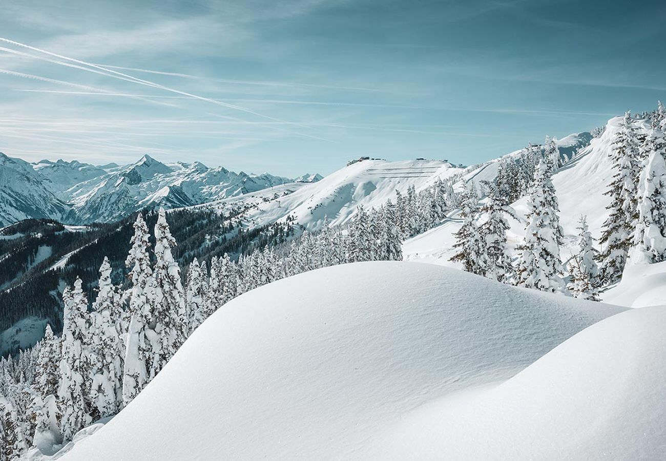 Ferienwohnung in Zell am See - Spa Chalet - Penthouse Lodge