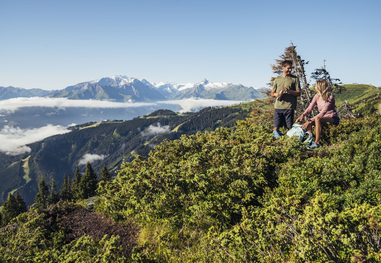 Ferienwohnung in Piesendorf - Maiskogelblick - TOP 5